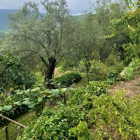 La Sariandola