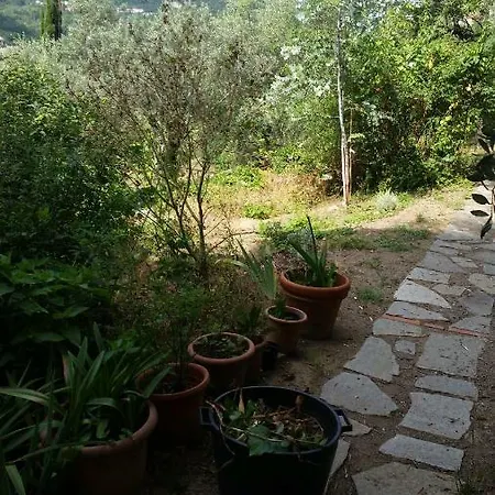 La Sariandola Santa Margherita Ligure