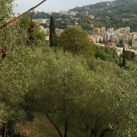 La Sariandola