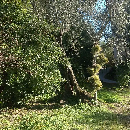 La Sariandola *