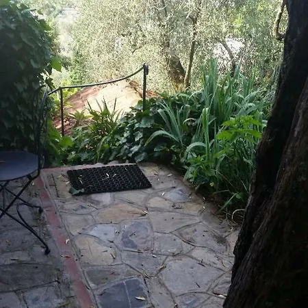La Sariandola *
